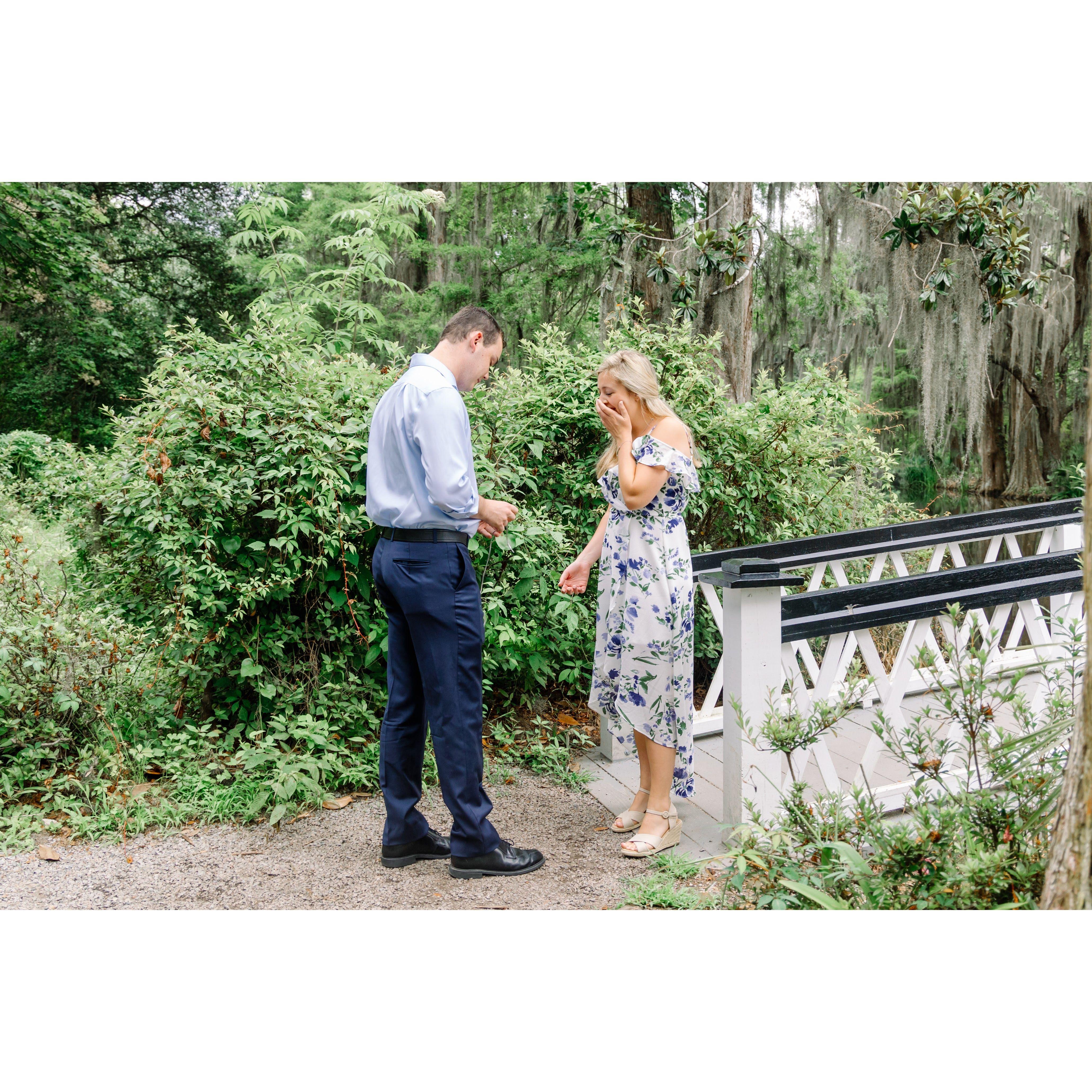 Our Engagement Photos in Charleston, SC