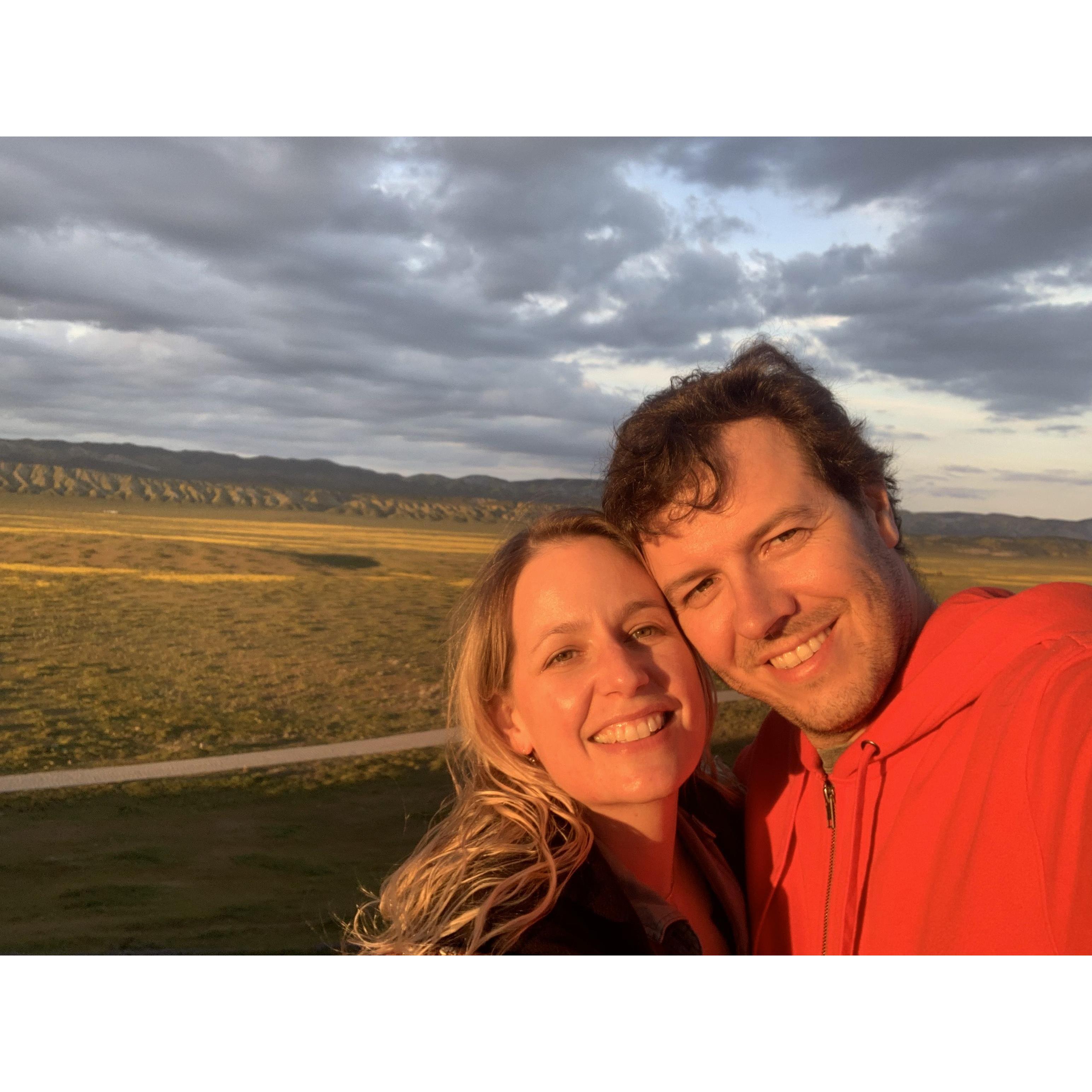 Wildflowers as far as the eye can see. Carrizo plains outback. 2019