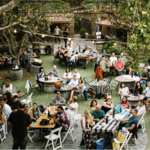 Malibu Wines & Beer Garden