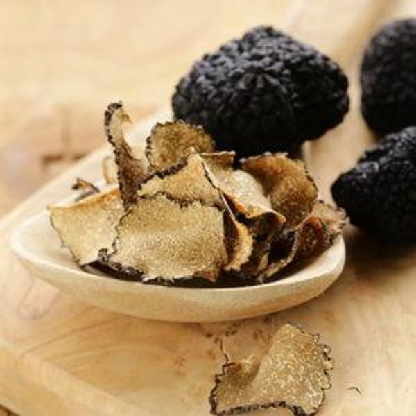 Truffle hunting followed by a truffle dinner in Istria, renowned as one of the world's richest truffle regions