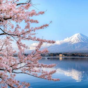 Japan Honeymoon Trip!!