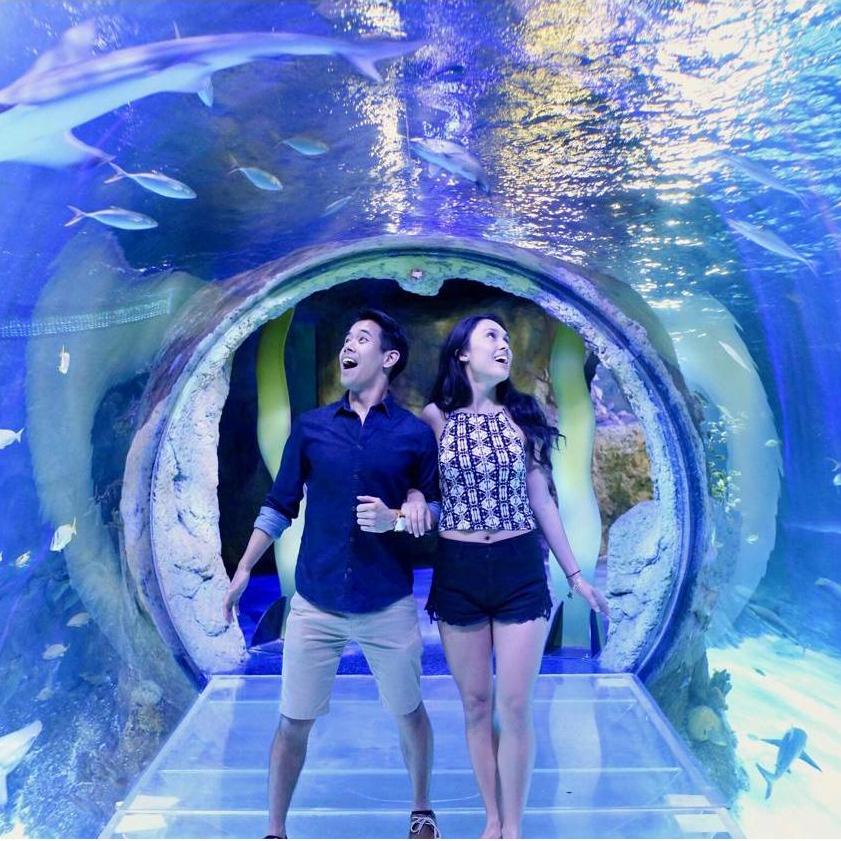 Valentines Day at the Orlando Aquarium