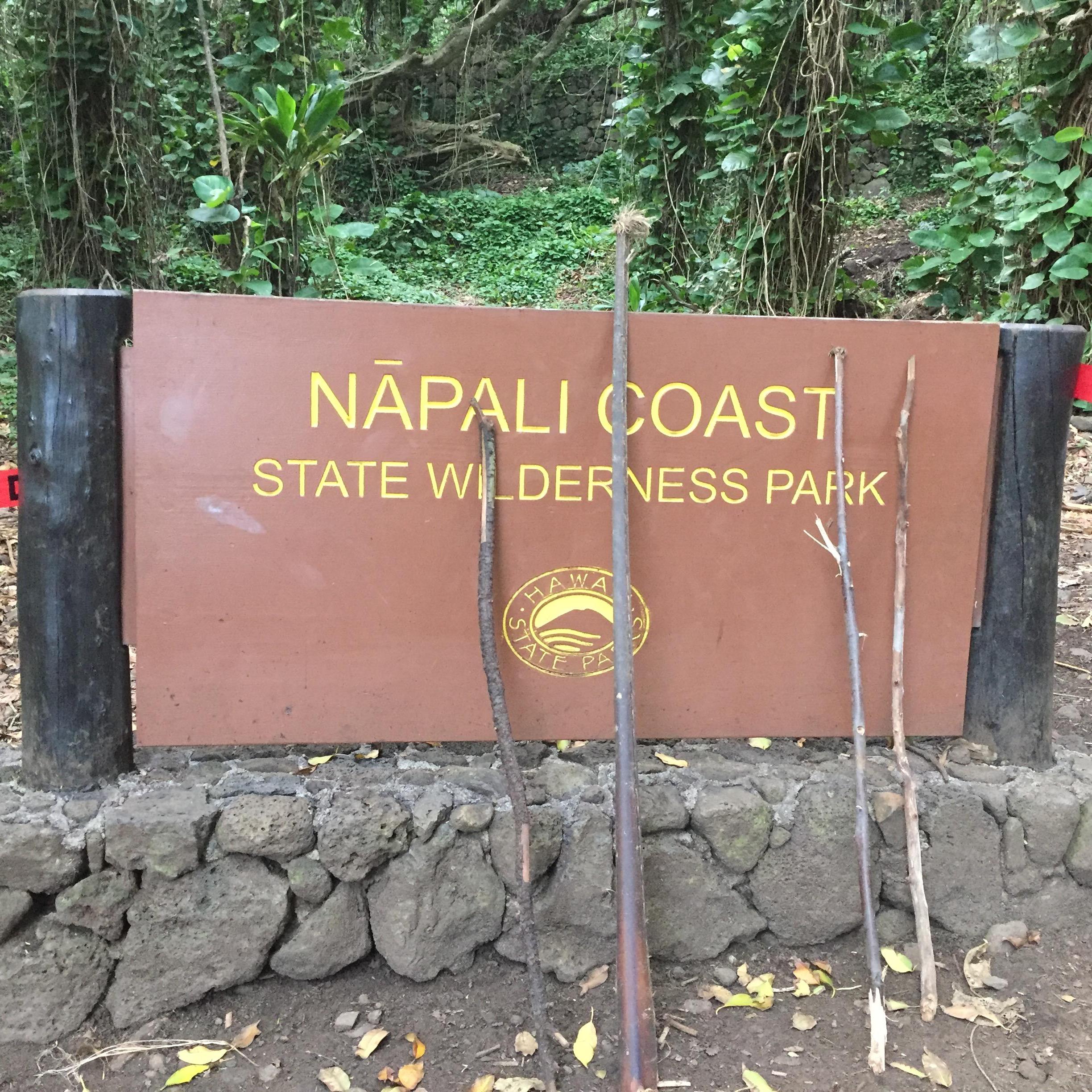 Adventures in Hawaii