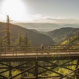 Myra Canyon Trail (Myra Canyon Trestles)