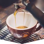 Bodhi Leaf Coffee Traders
