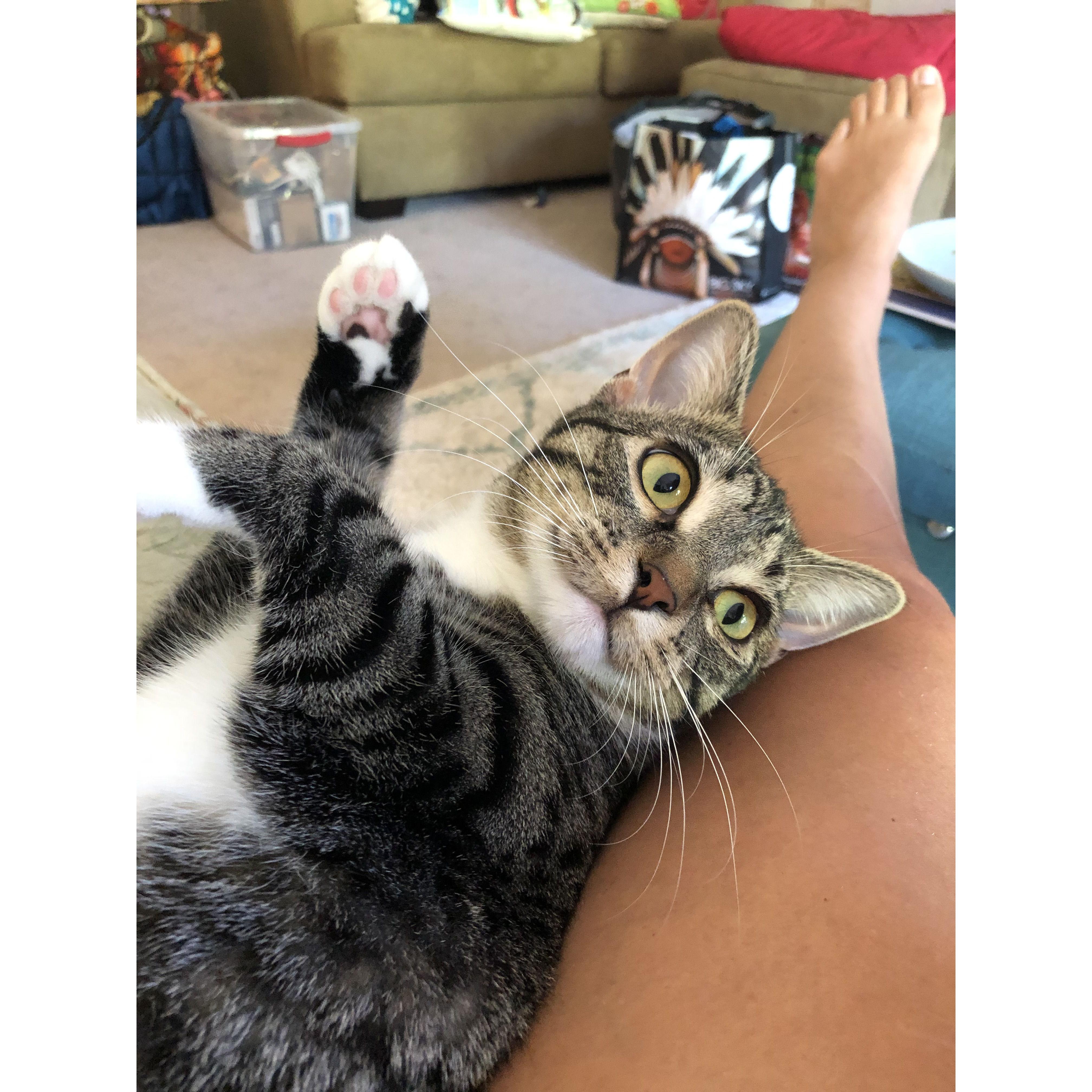 Our sweet pea Wunderbar.