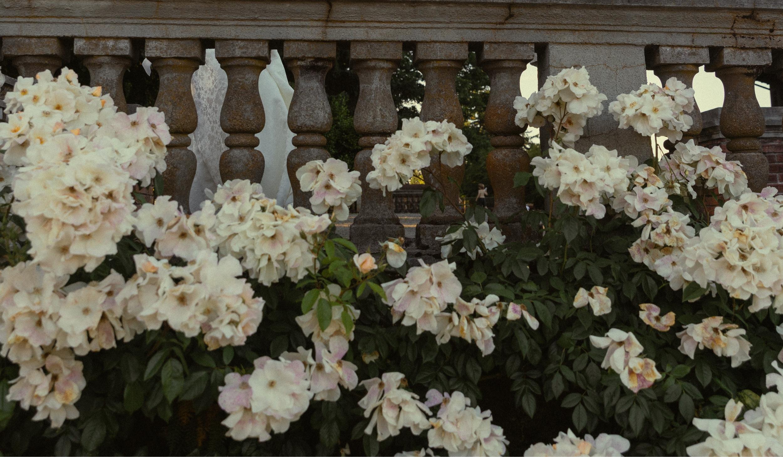 The Wedding Website of Anna Naumets and Orest Zhelnovakov