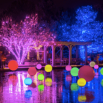 DENVER BOTANIC GARDENS