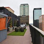 The Roof
