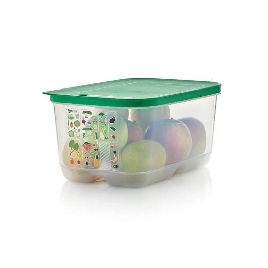Tupperware FridgeSmart® Medium Deep