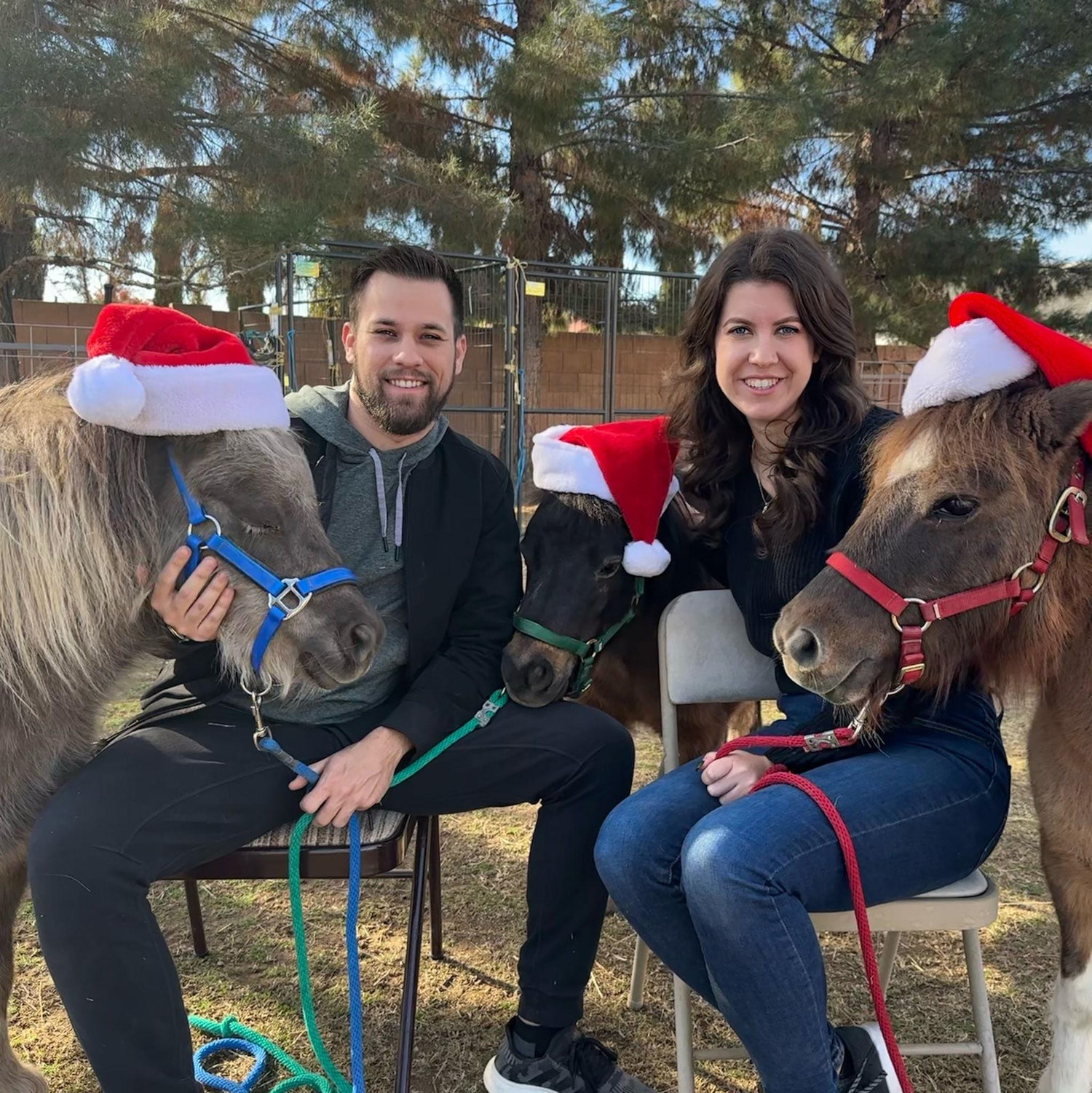 Nicki's first time being in James' annual mini horse Christmas photo!