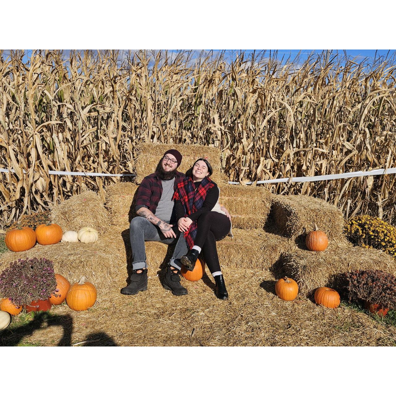 Year 2 at the pumpkin patch