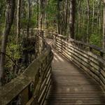 First Landing State Park