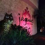 Barceló Bars and Jaguars Night Club