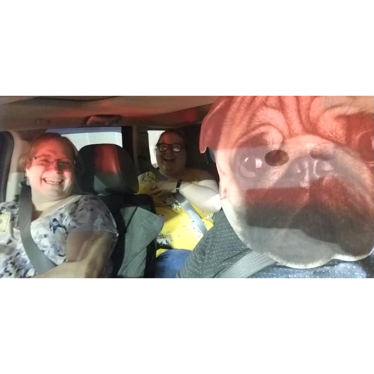 She's always looking for dogs....... and she found one!