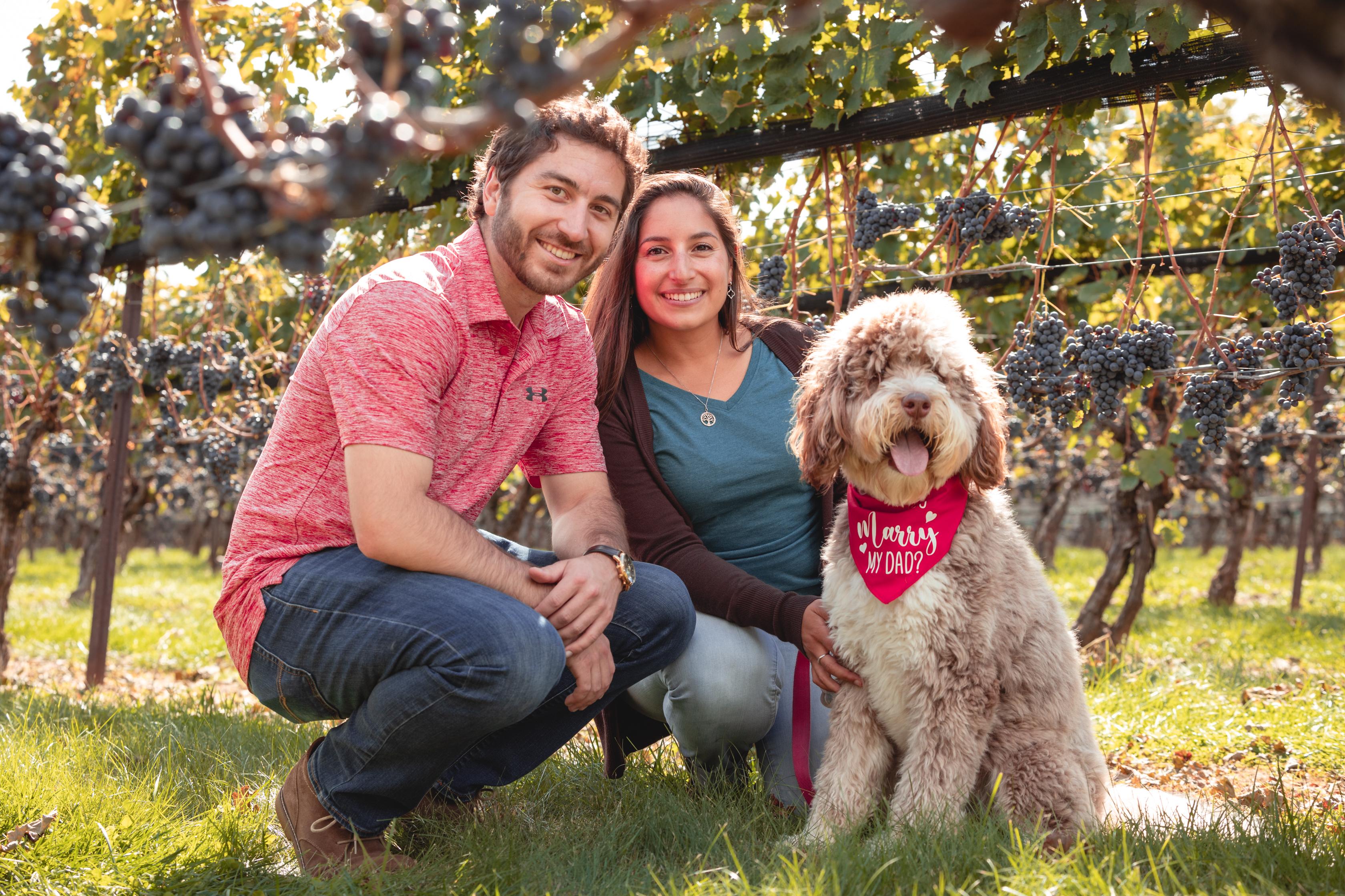 The Wedding Website of Matthew Mazzucco and Nicole Brasil Becker