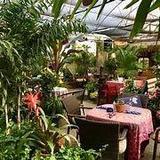 Origins Cafe
