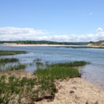 Sunken Meadow State Park