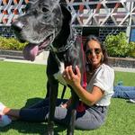 Dr. Scofflaw's at The Works