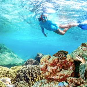 Snorkeling excursion in Seychelles
