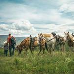 Horseback Riding