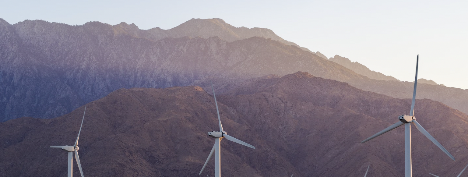 The Wedding Website of Allison Trujillo and Arshia Shahmiri