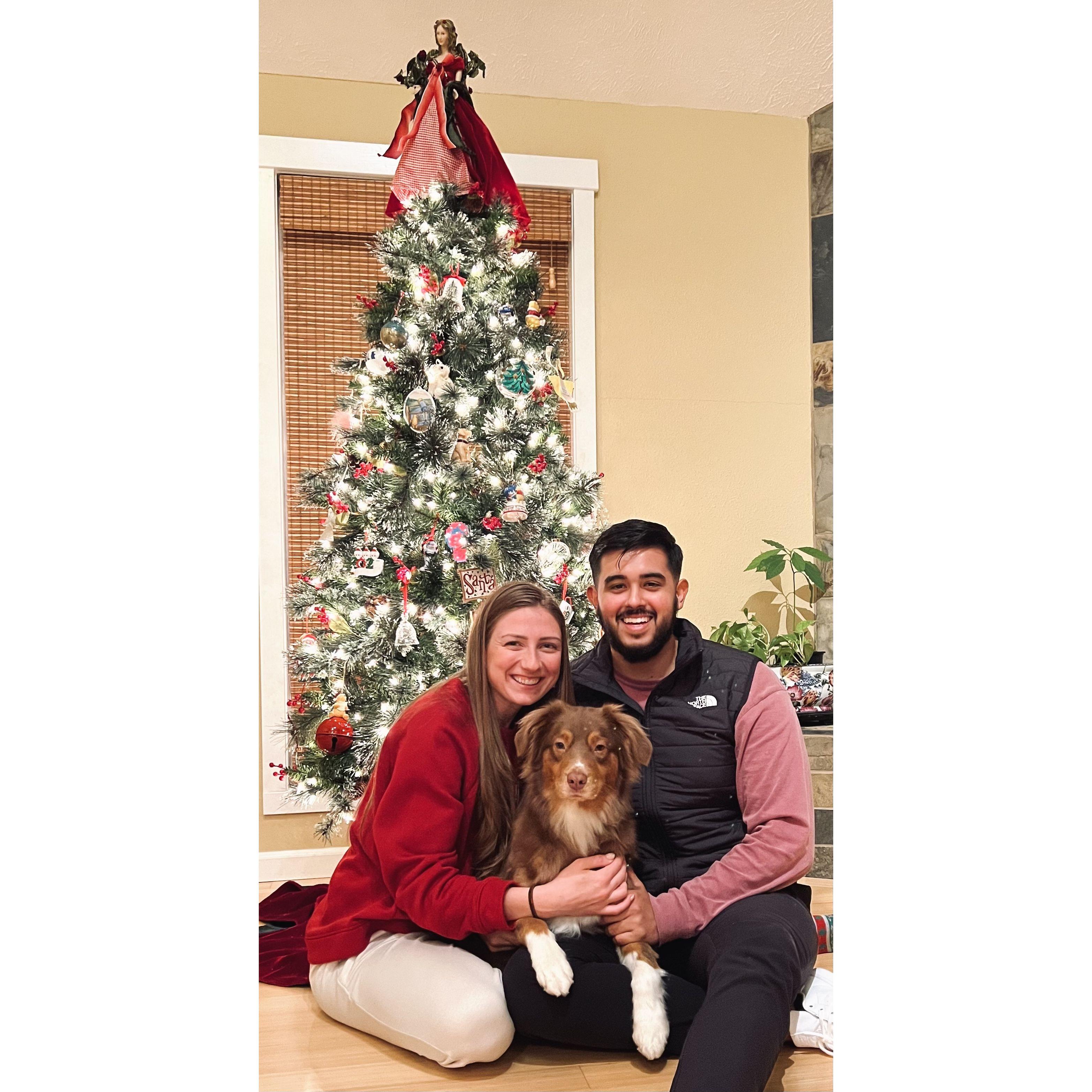 Piper's First Christmas 2022
