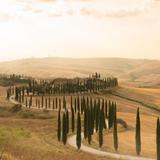 Tuscany Guided Tours