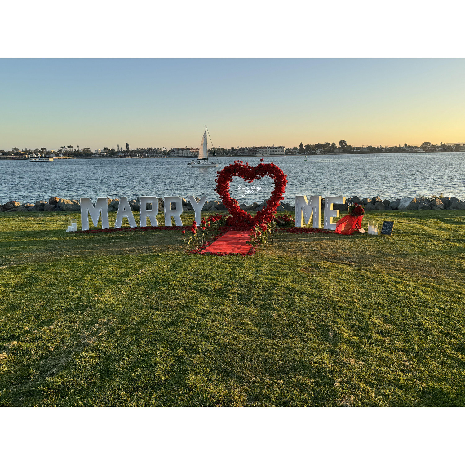Where I proposed to my future wife.