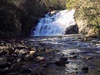 Laurel Falls Trailhead