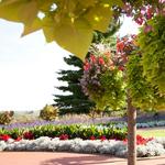 Bissonnette Gardens