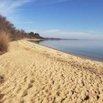 Newtowne Neck State Park