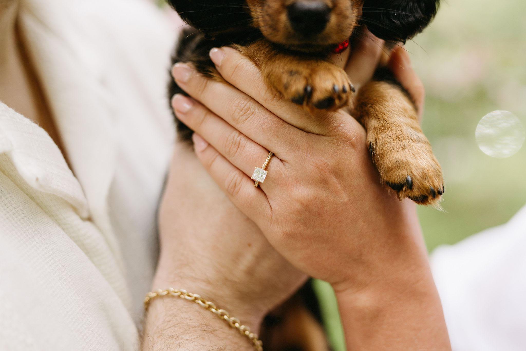 The Wedding Website of Cierra Charlton and Daniel Coulbeck