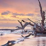Big Talbot Island