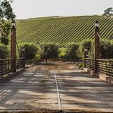Santa Ynez Valley Wineries