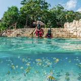 XCARET
