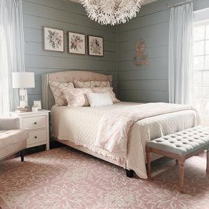 Guest Bedroom Fund