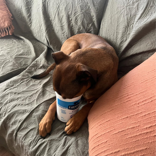 Year's Supply Of Lola Treats!!