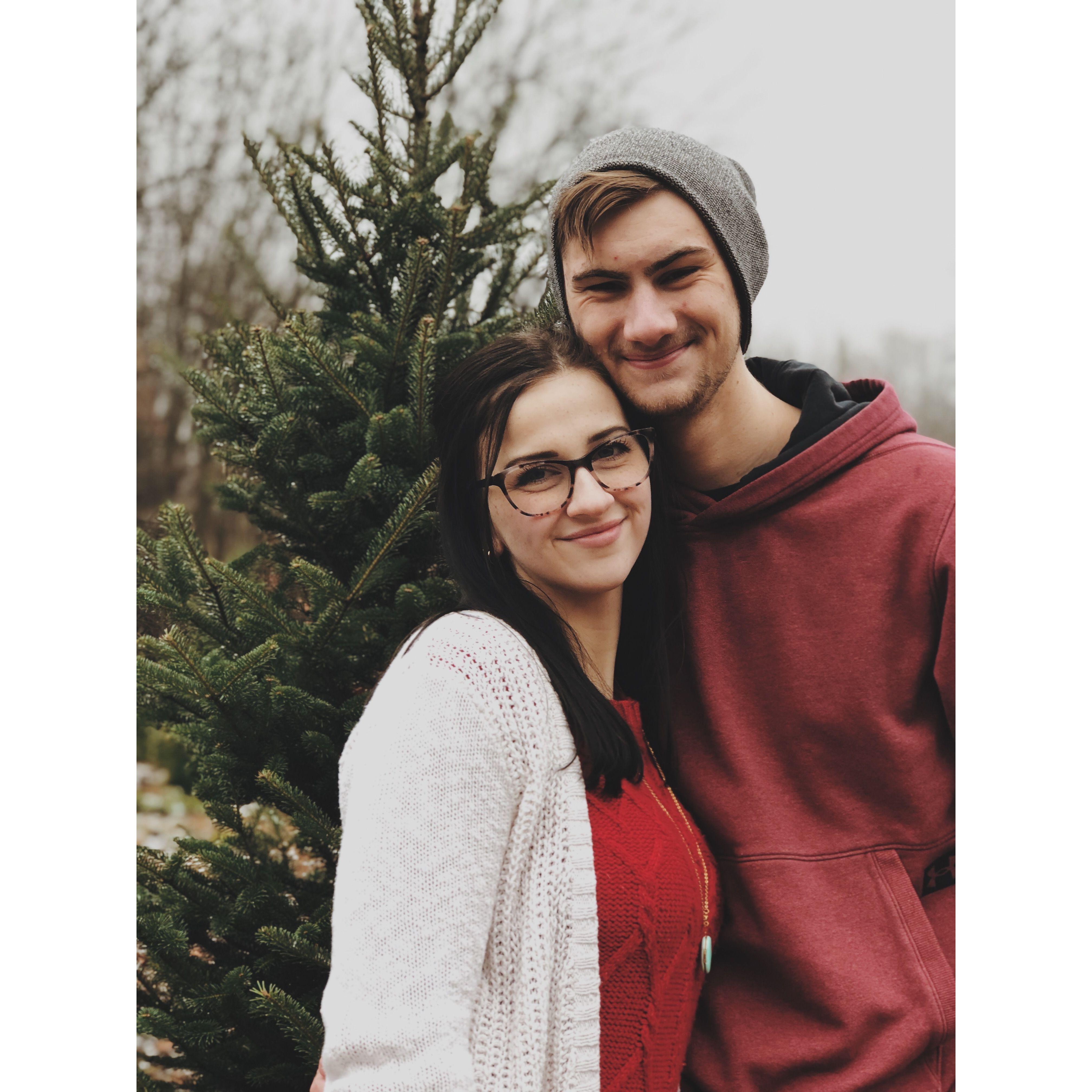 12/01/2019 - The first of many Christmas Tree chops