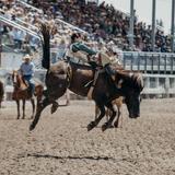 Jackson Hole Rodeo