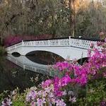 Magnolia Plantation and Gardens