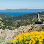 Palisades Tahoe