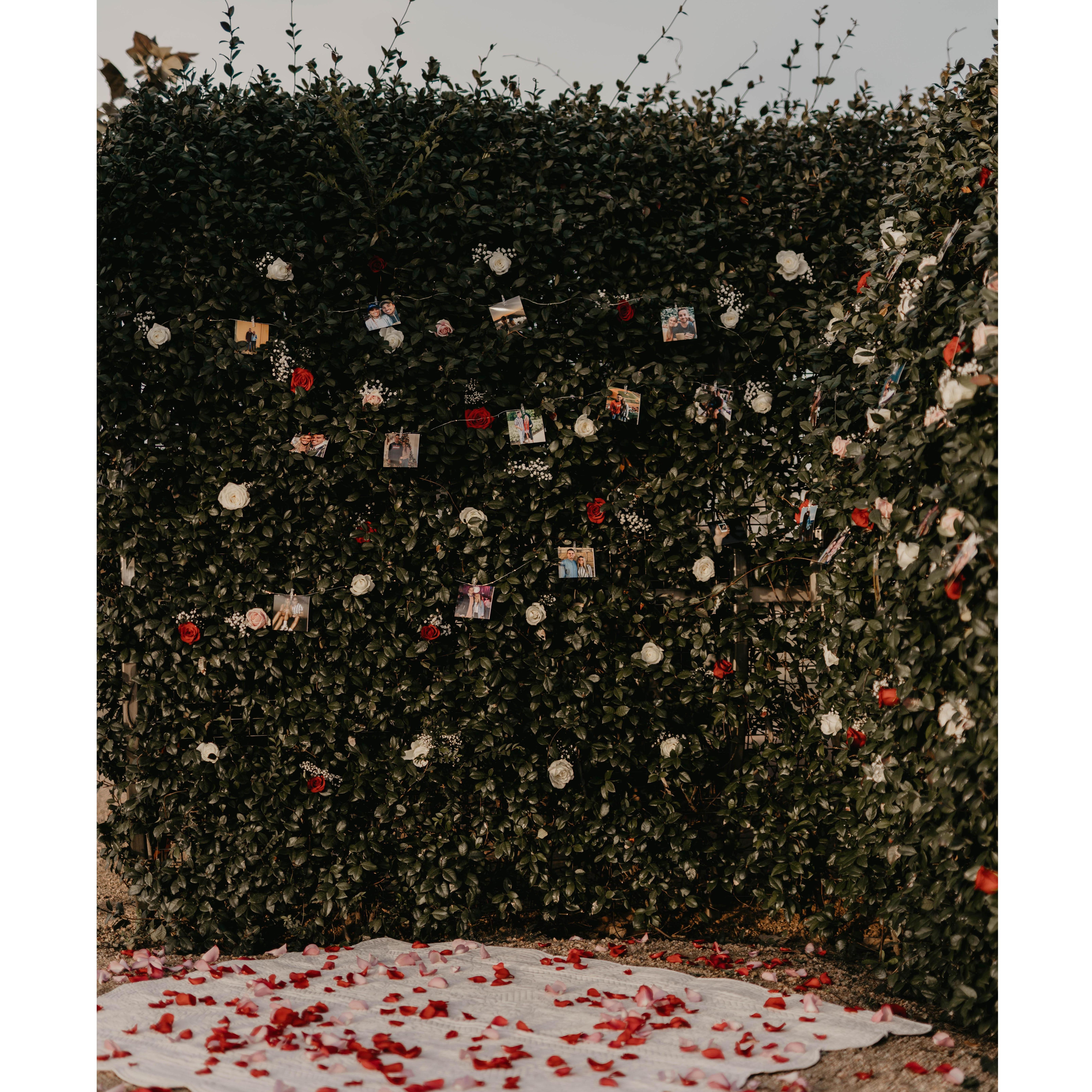 the beautiful setup where Sam proposed