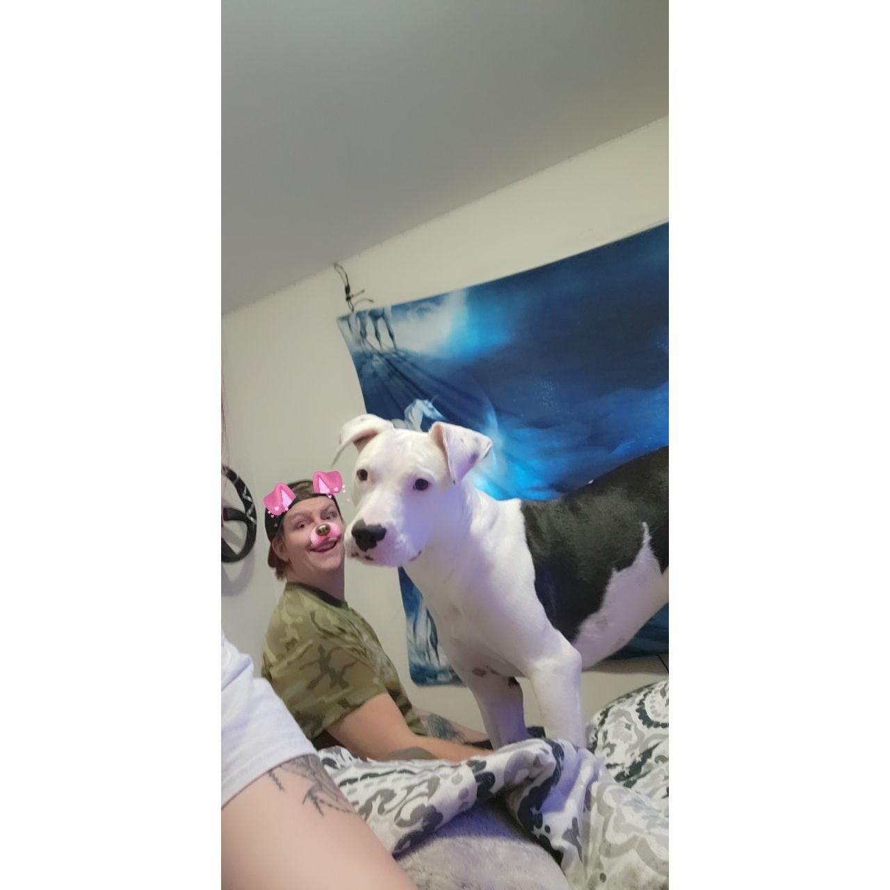 Dogs are our link to paradise