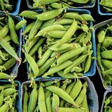 Stevens Point Farmers Market