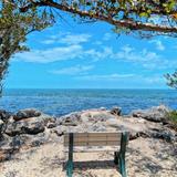 Crane Point Hammock