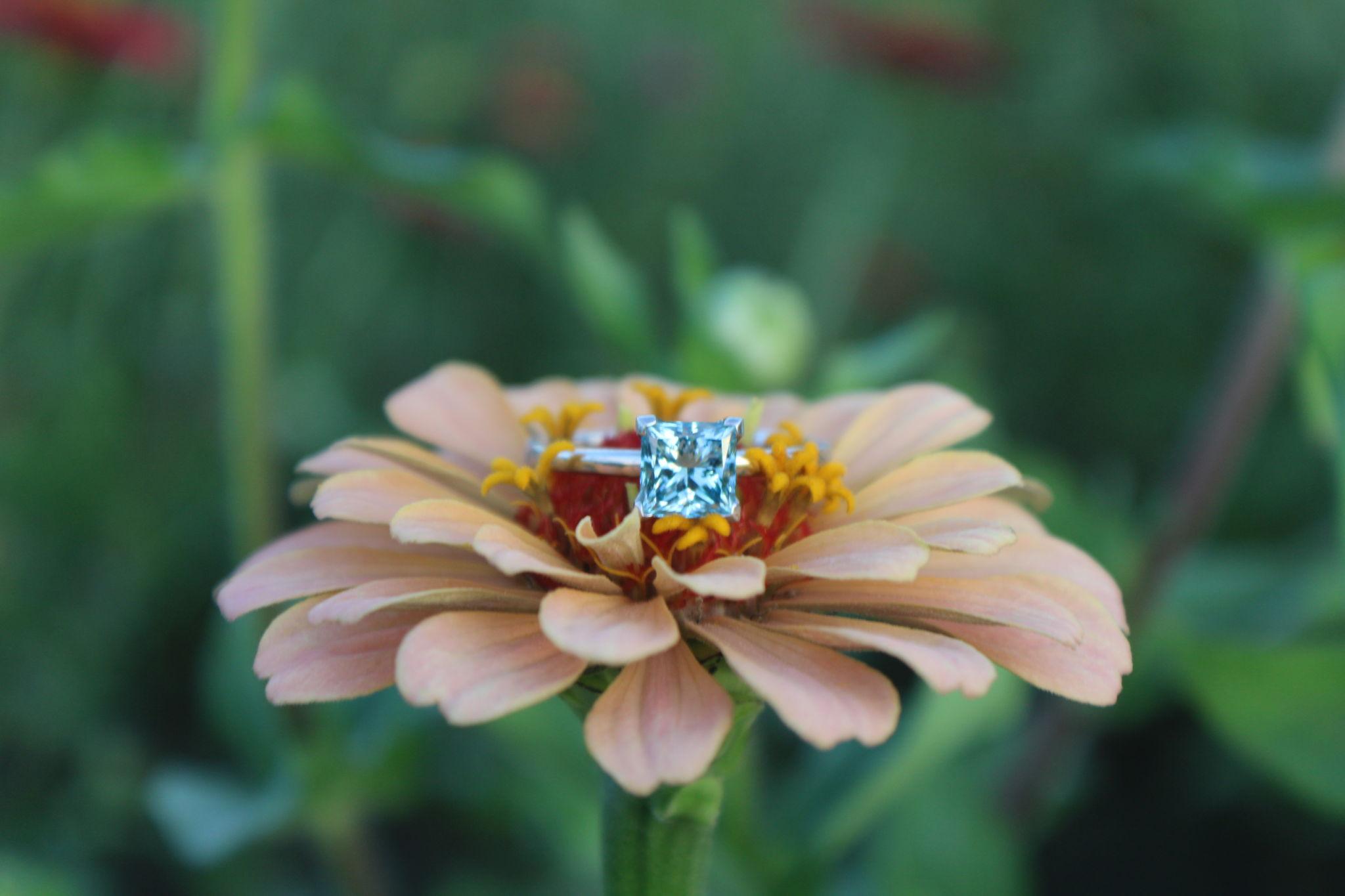 The Wedding Website of SIlvia Suhr and Daniel Hernandez