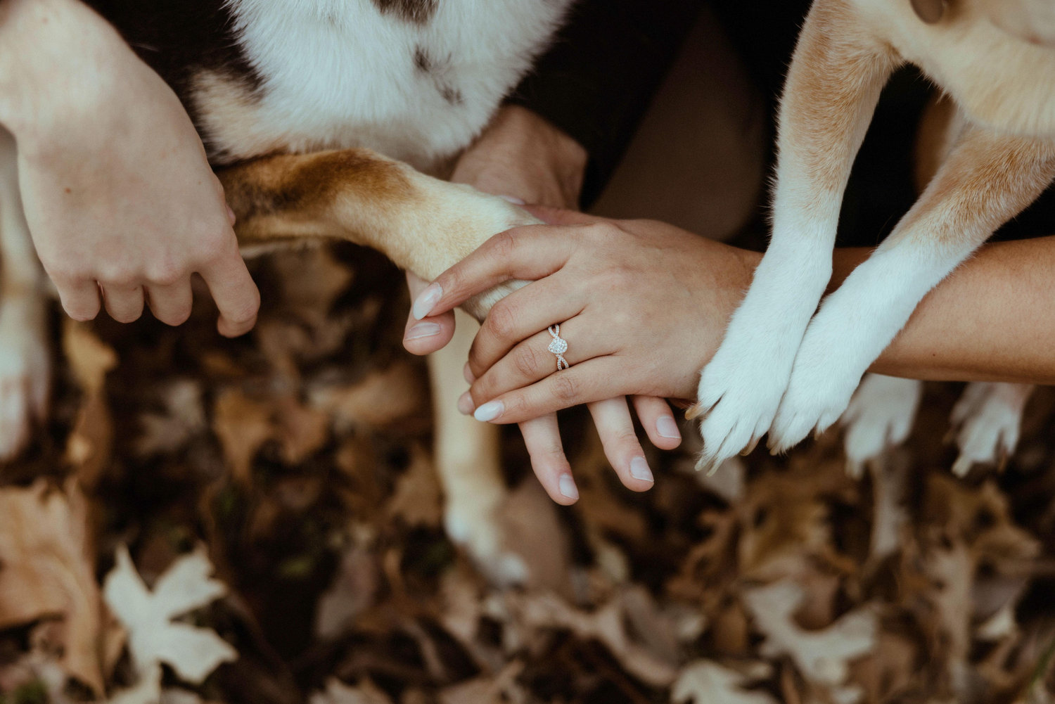 The Wedding Website of Adrianna Aleman and Kyle Siefker