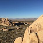 Joshua Tree Visitor Center