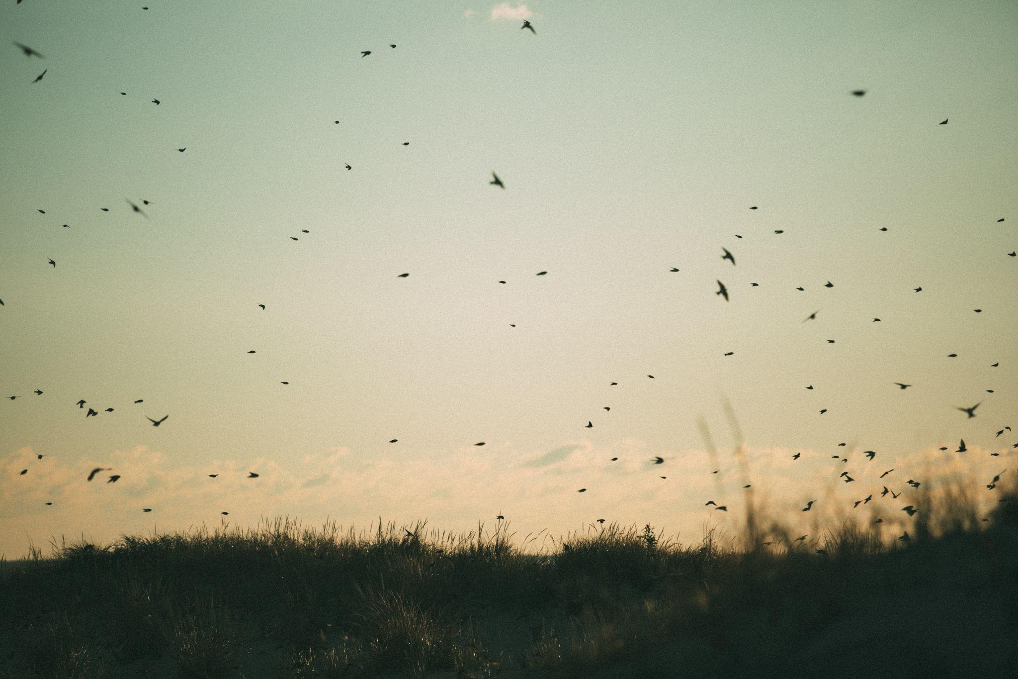 The Wedding Website of Paige Linck and Nick O'Connell